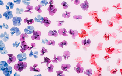 Acorrala todas tus tareas pendientes de una sola vez