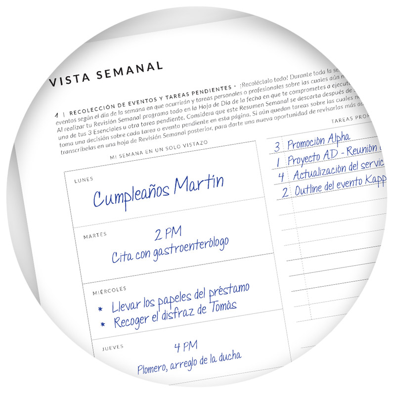 Planeador Esencialista Edición Un Curso de Milagros - vista semanal Planeador Esencialista Edición Un Curso de Milagros - vista semanal